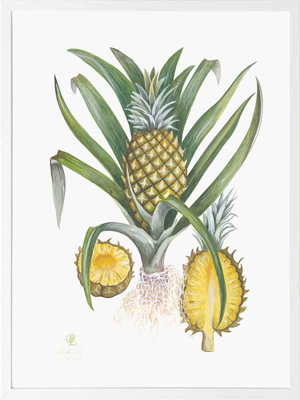 Pineapples Framed Art Print