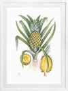 Pineapples Framed Art Print