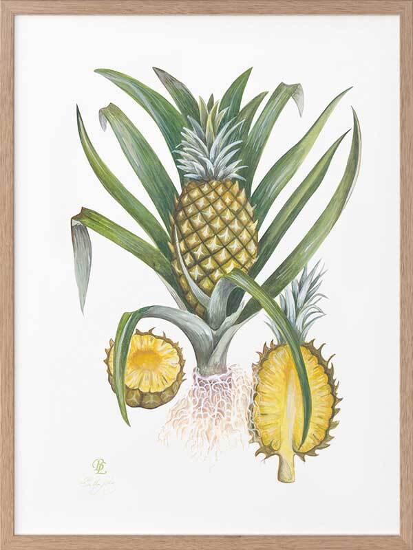 Pineapples Framed Art Print