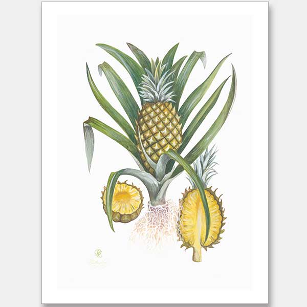 Pineapples Unframed Art Print