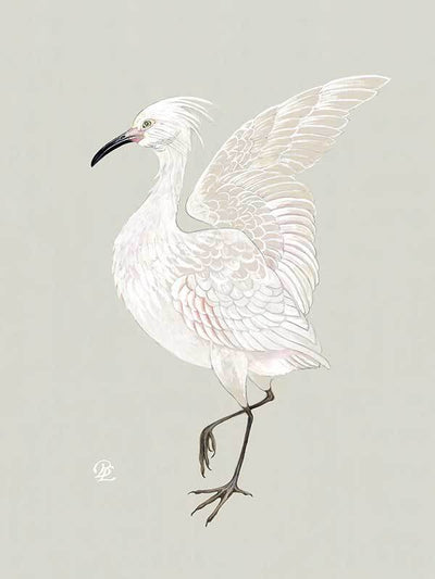 Water Bird Canvas Art Print