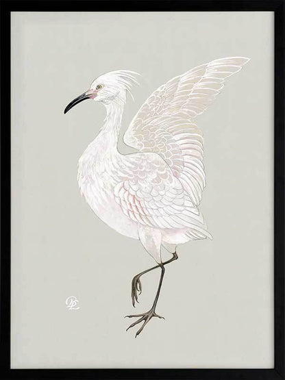 Water Bird Framed Art Print