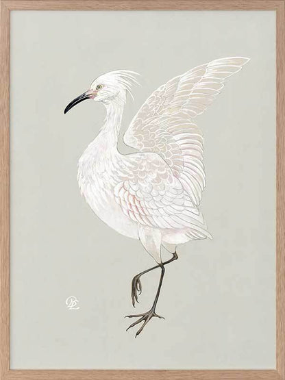 Water Bird Framed Art Print