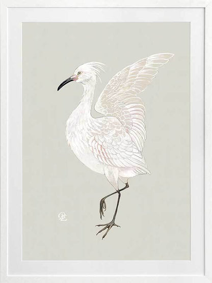 Water Bird Framed Art Print