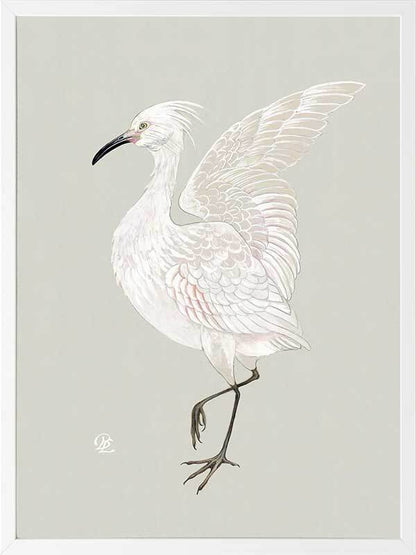 Water Bird Framed Art Print