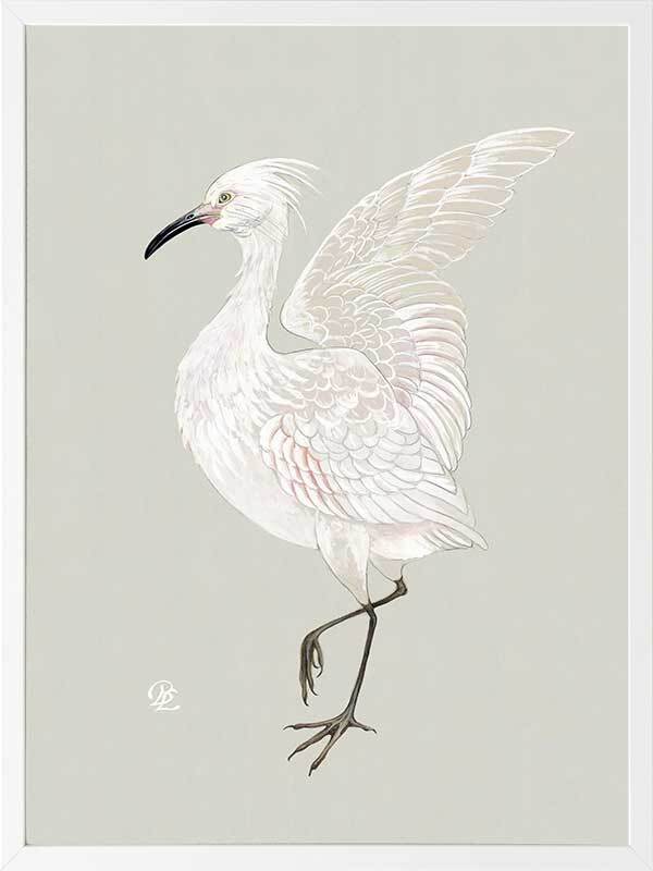 Water Bird Framed Art Print