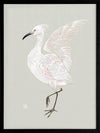Water Bird Framed Art Print