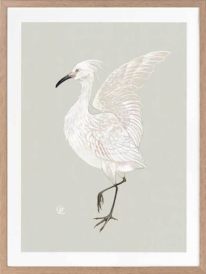 Water Bird Framed Art Print