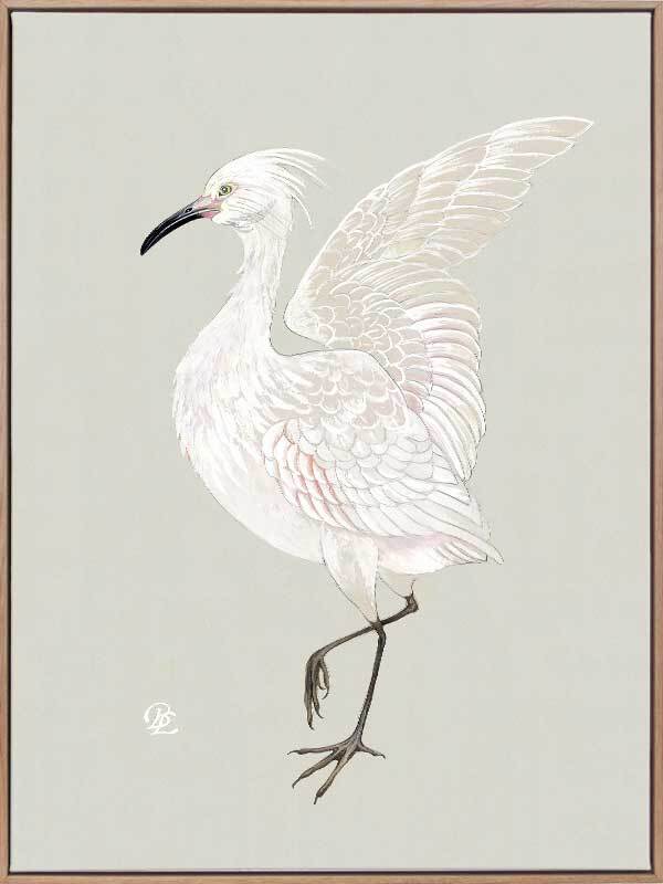 Original Ibis Hand-cut shop Paper Illustration