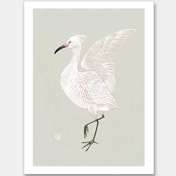 Water Bird Unframed Art Print