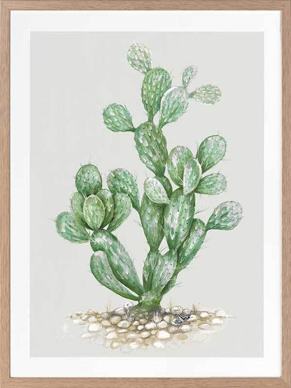 Prickly Pear Framed Art Print