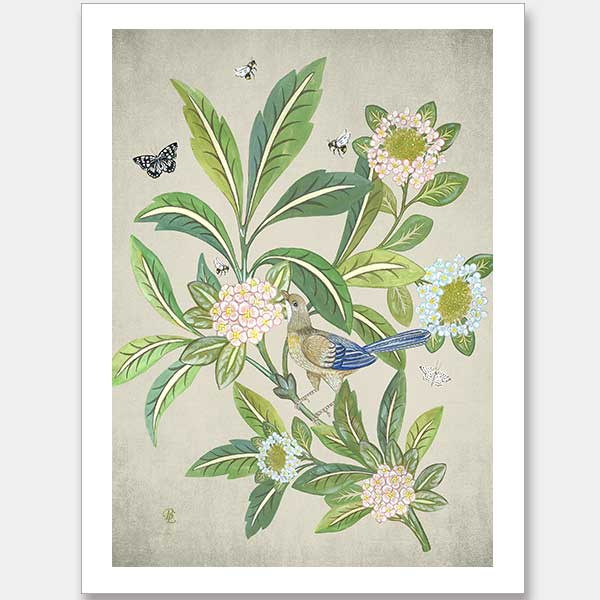 Summer Garden Clay Unframed Art Print