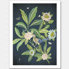 Summer Garden Navy Unframed Art Print