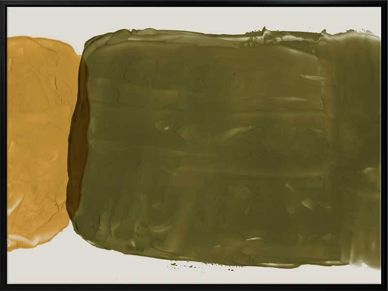 Austral Sun Canvas Art Print