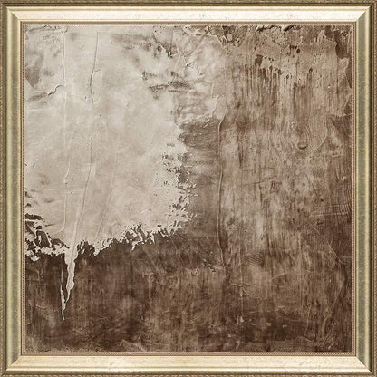 Weathered II Canvas Art Print