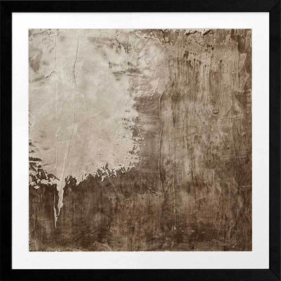 Weathered II Framed Art Print