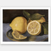 Still Life Lemons Unframed Art Print