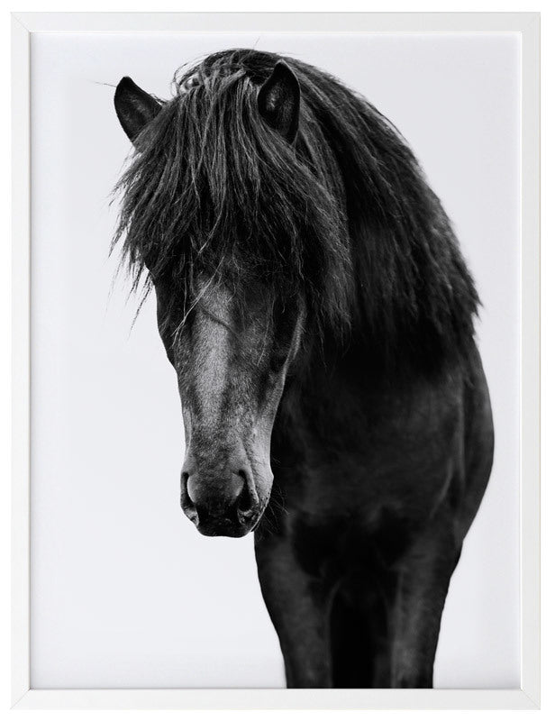 Horses 1 Framed Art Print