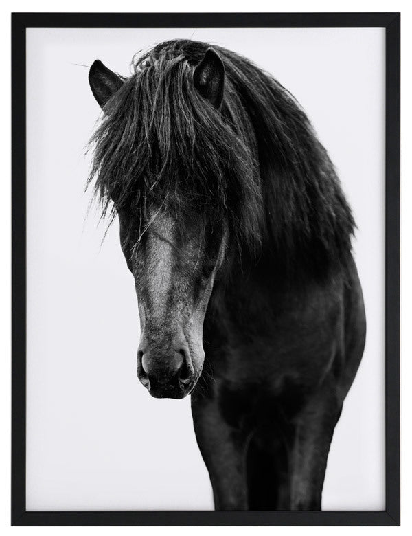 Horses 1 Framed Art Print