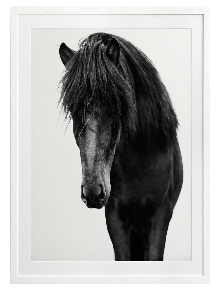 Horses 1 Framed Art Print