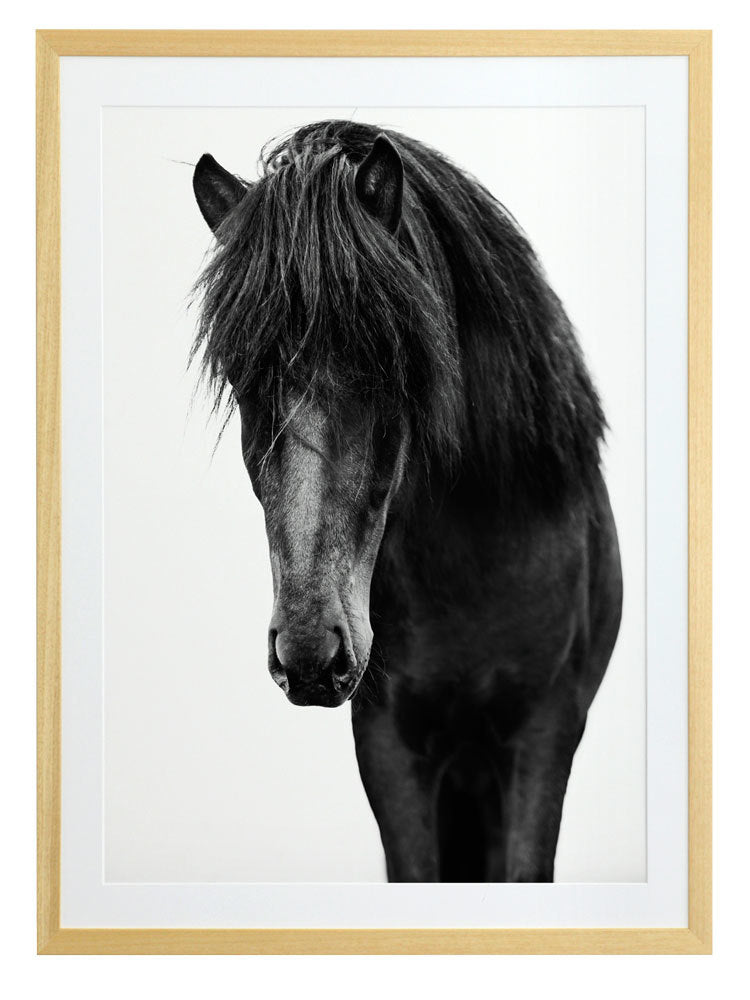 Horses 1 Framed Art Print