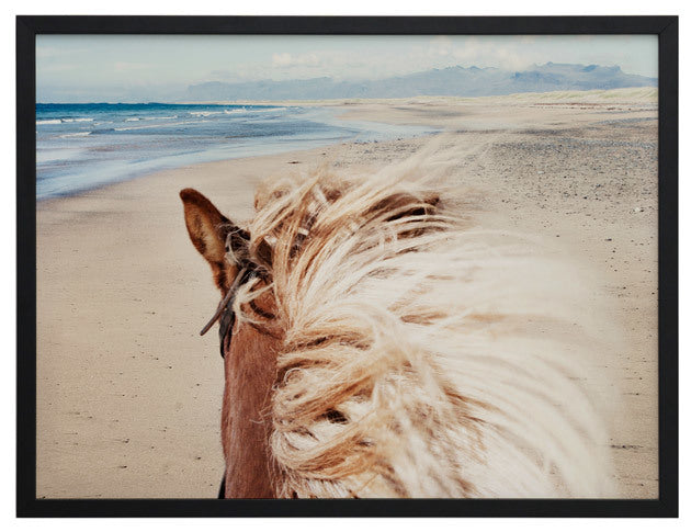 Beach Horse Framed Art Print