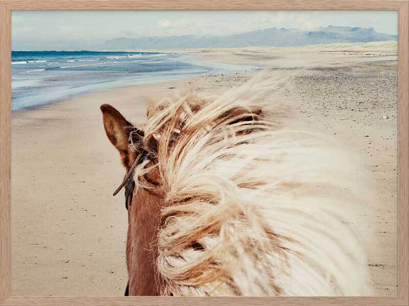 Beach Horse Framed Art Print