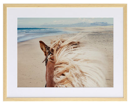 Beach Horse Framed Art Print