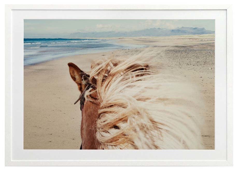 Beach Horse Framed Art Print