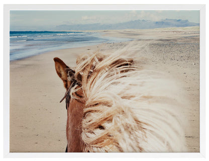 Beach Horse Framed Art Print