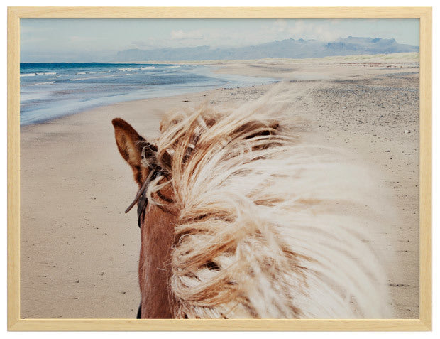 Beach Horse Framed Art Print