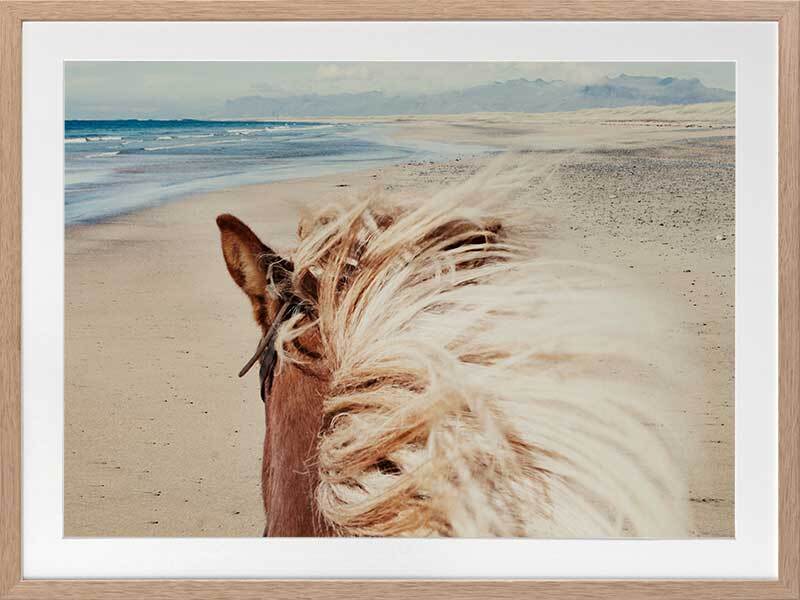 Beach Horse Framed Art Print