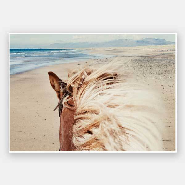 Beach Horse Unframed Art Print