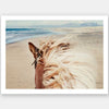 Beach Horse Unframed Art Print