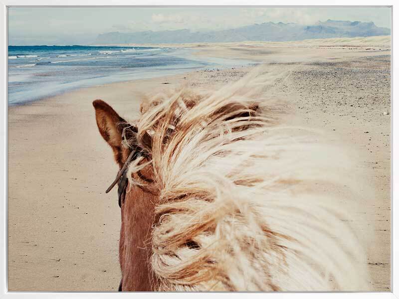 Beach Horse Canvas Art Print