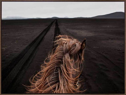 Horse Tracks Canvas Art Print