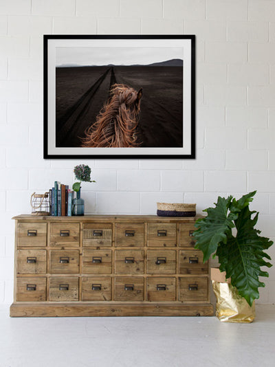 Horse Tracks Canvas Art Print | Lifestyle