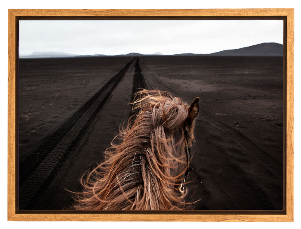 Horse Tracks Canvas Art Print