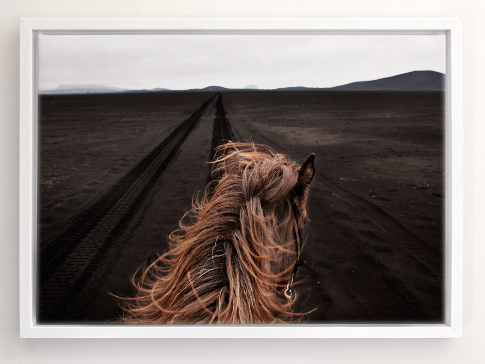 Horse Tracks Canvas Art Print