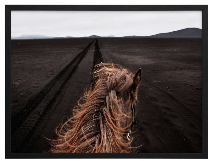 Horse Tracks Framed Art Print