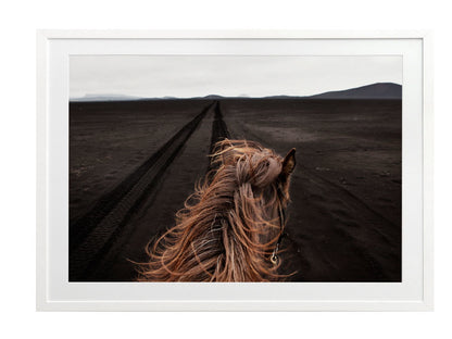 Horse Tracks Framed Art Print