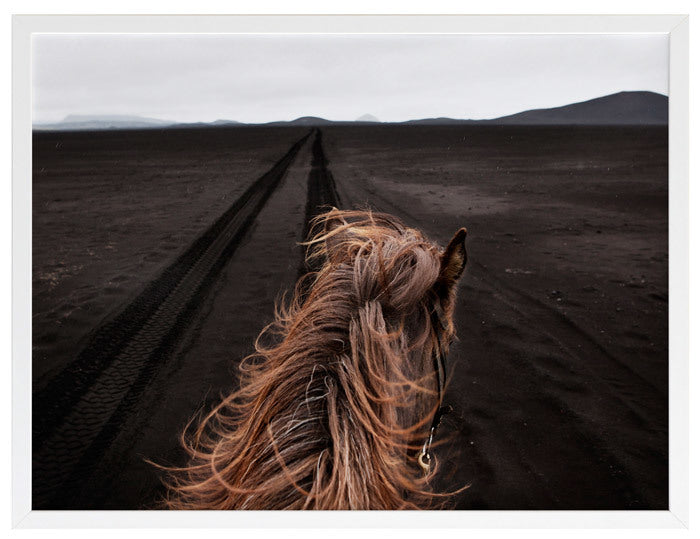 Horse Tracks Framed Art Print