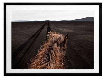 Horse Tracks Framed Art Print