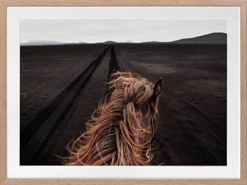 Horse Tracks Framed Art Print