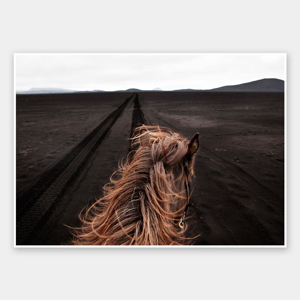 Horse Tracks Unframed Art Print