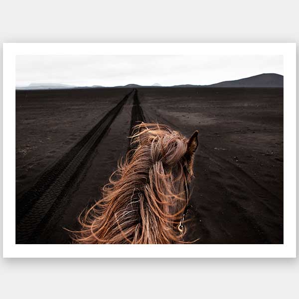 Horse Tracks Unframed Art Print