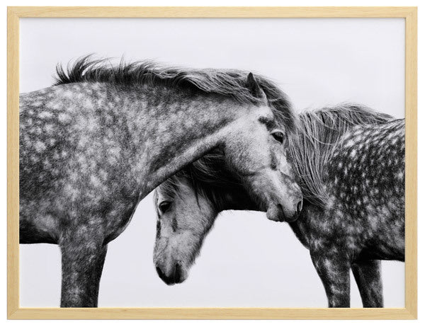 Spotted Horses Framed Art Print