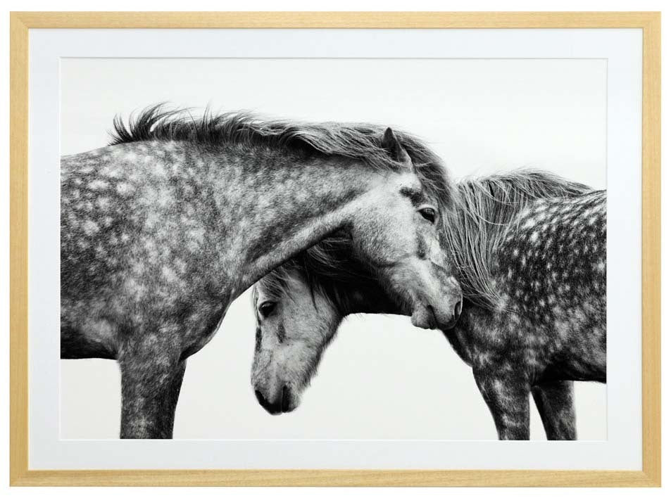 Spotted Horses Framed Art Print