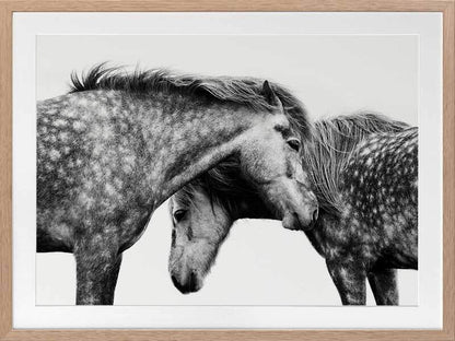 Spotted Horses Framed Art Print