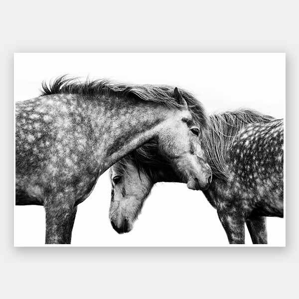 Spotted Horses Unframed Art Print